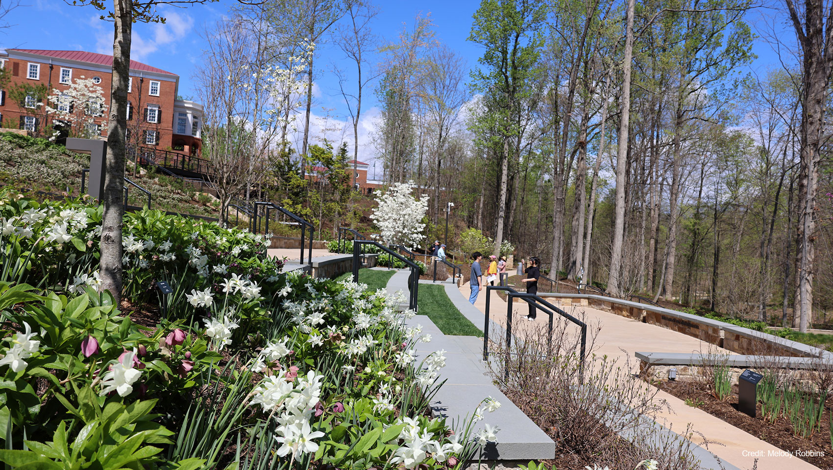 The botanical gardens behind the forum hotel