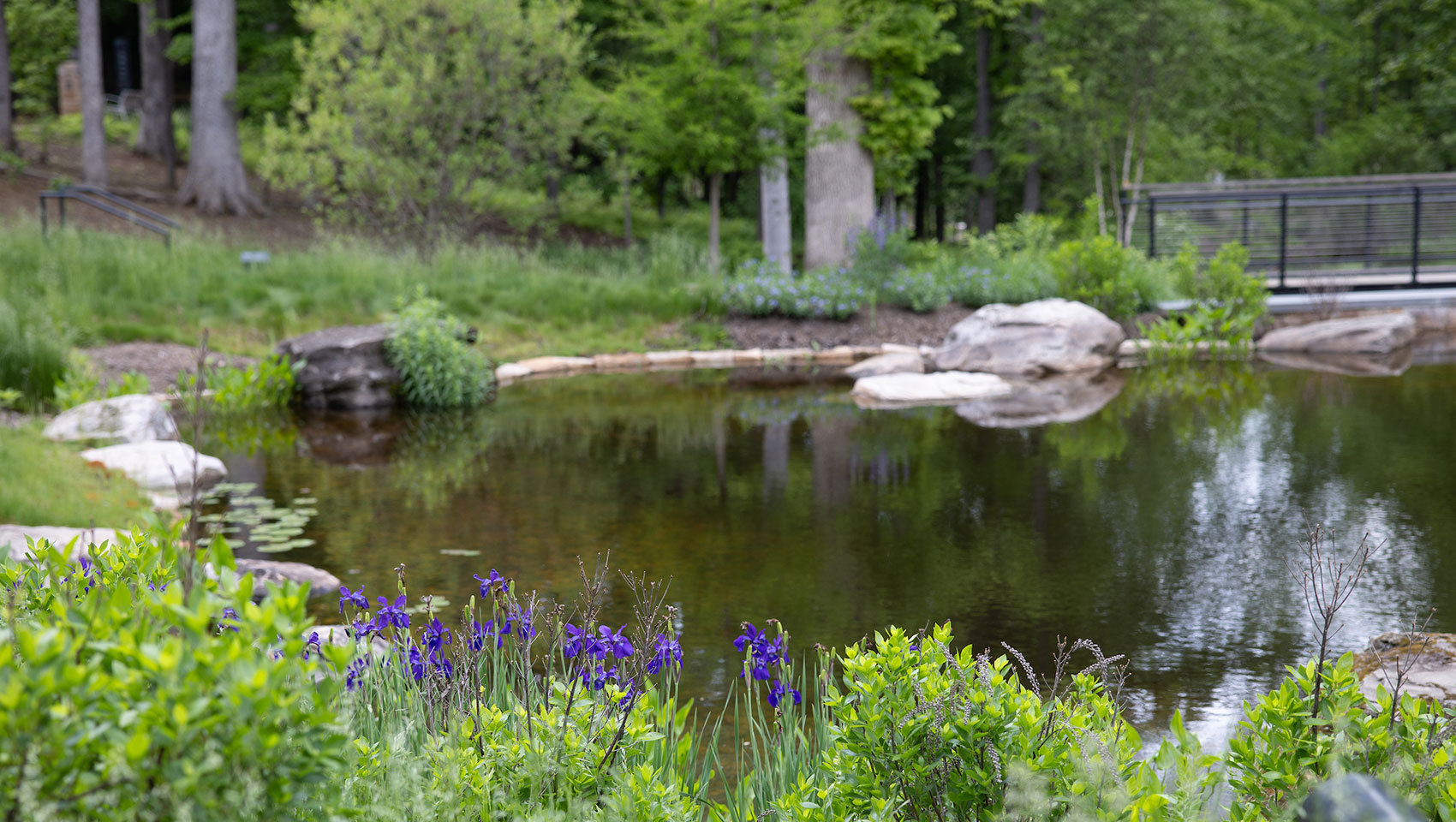 The Forum & Darden Arboretum + Botanical Gardens | Credit @ Melody Robbins