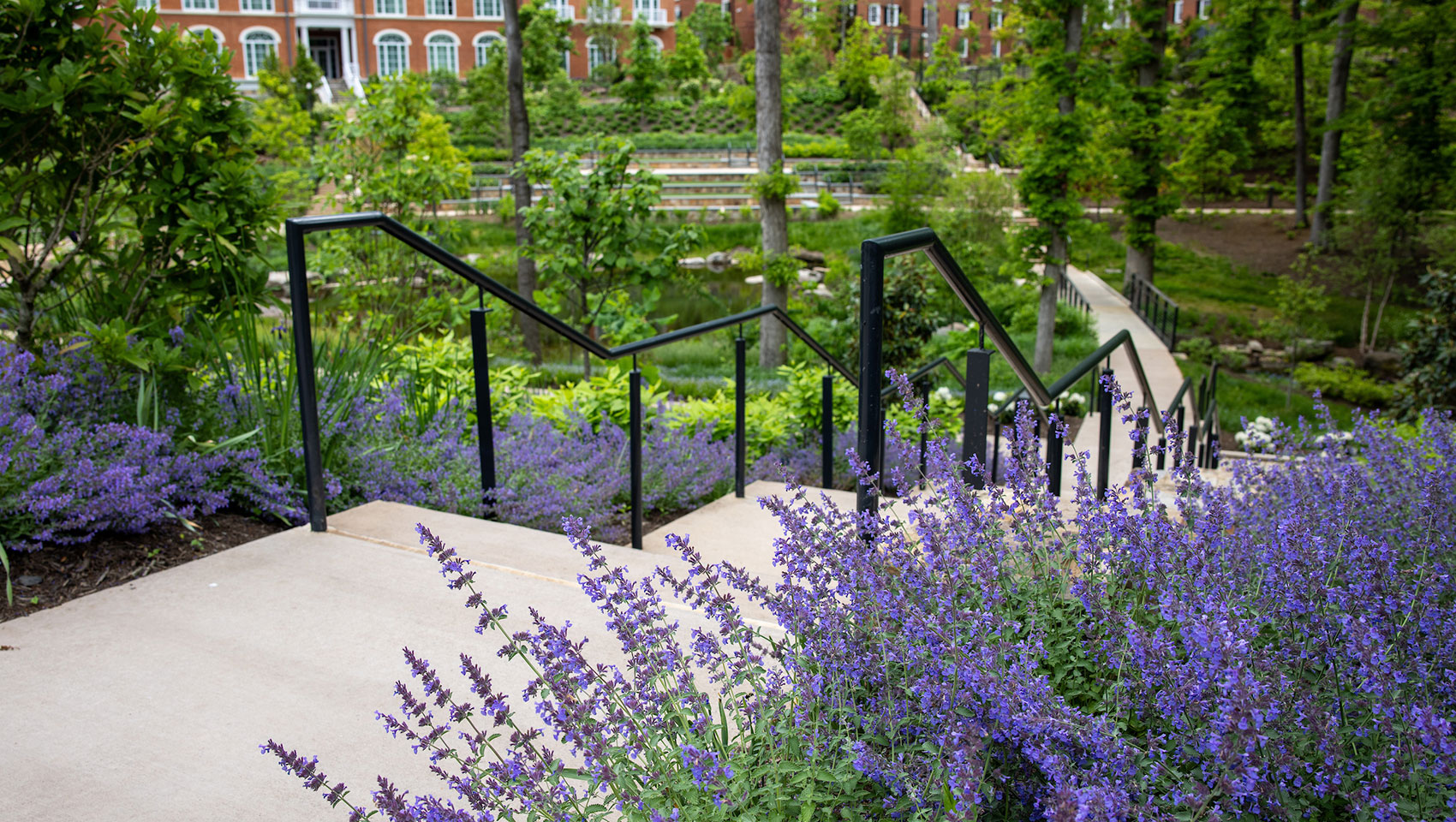 The Forum & Darden Arboretum + Botanical Gardens | Credit @ Melody Robbins