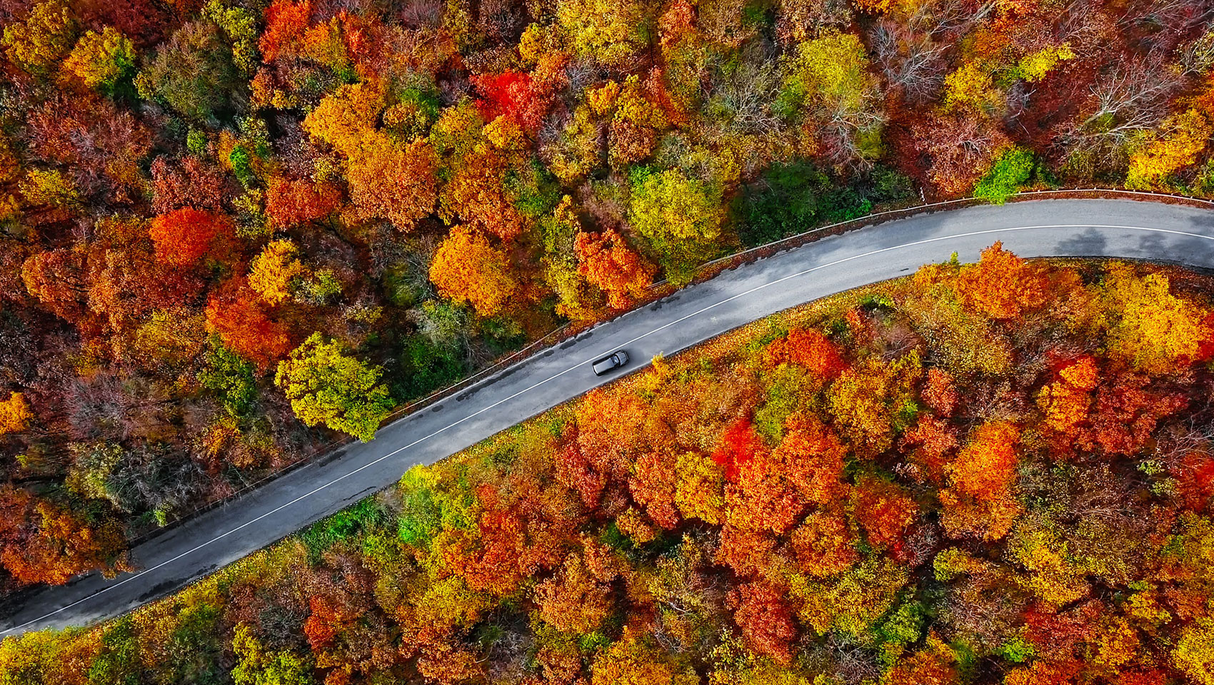 car driving down a winding road with autumn leaves in the background