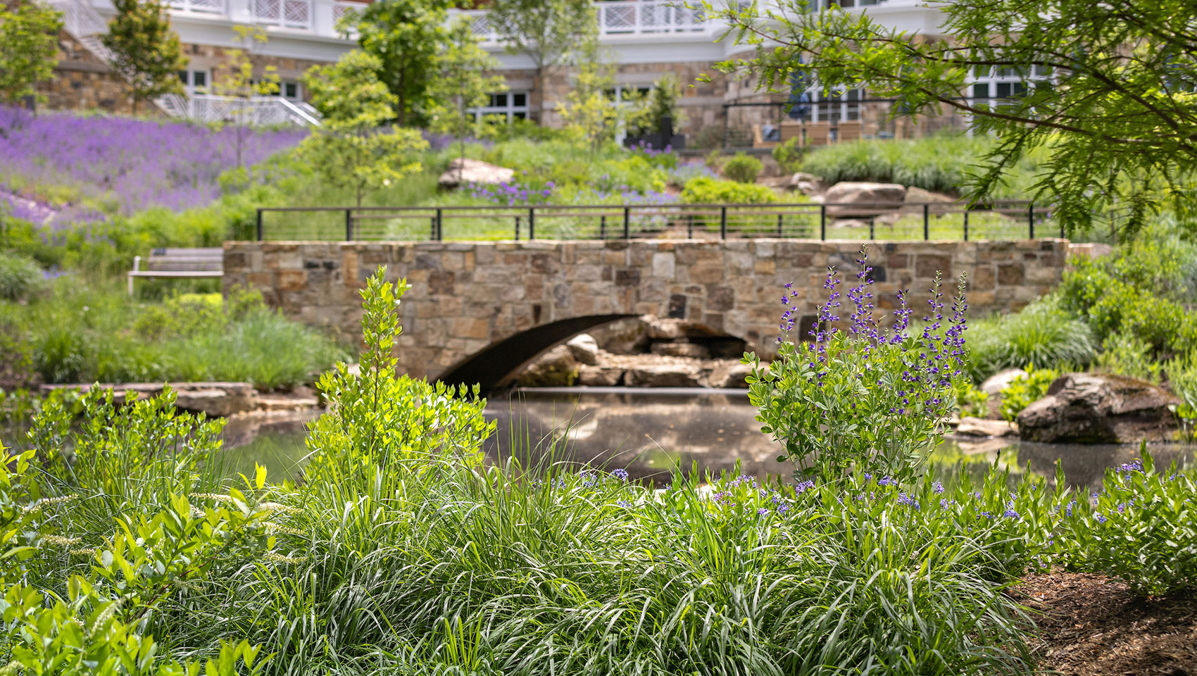 The Forum & Darden Arboretum + Botanical Gardens | Credit @ Melody Robbins