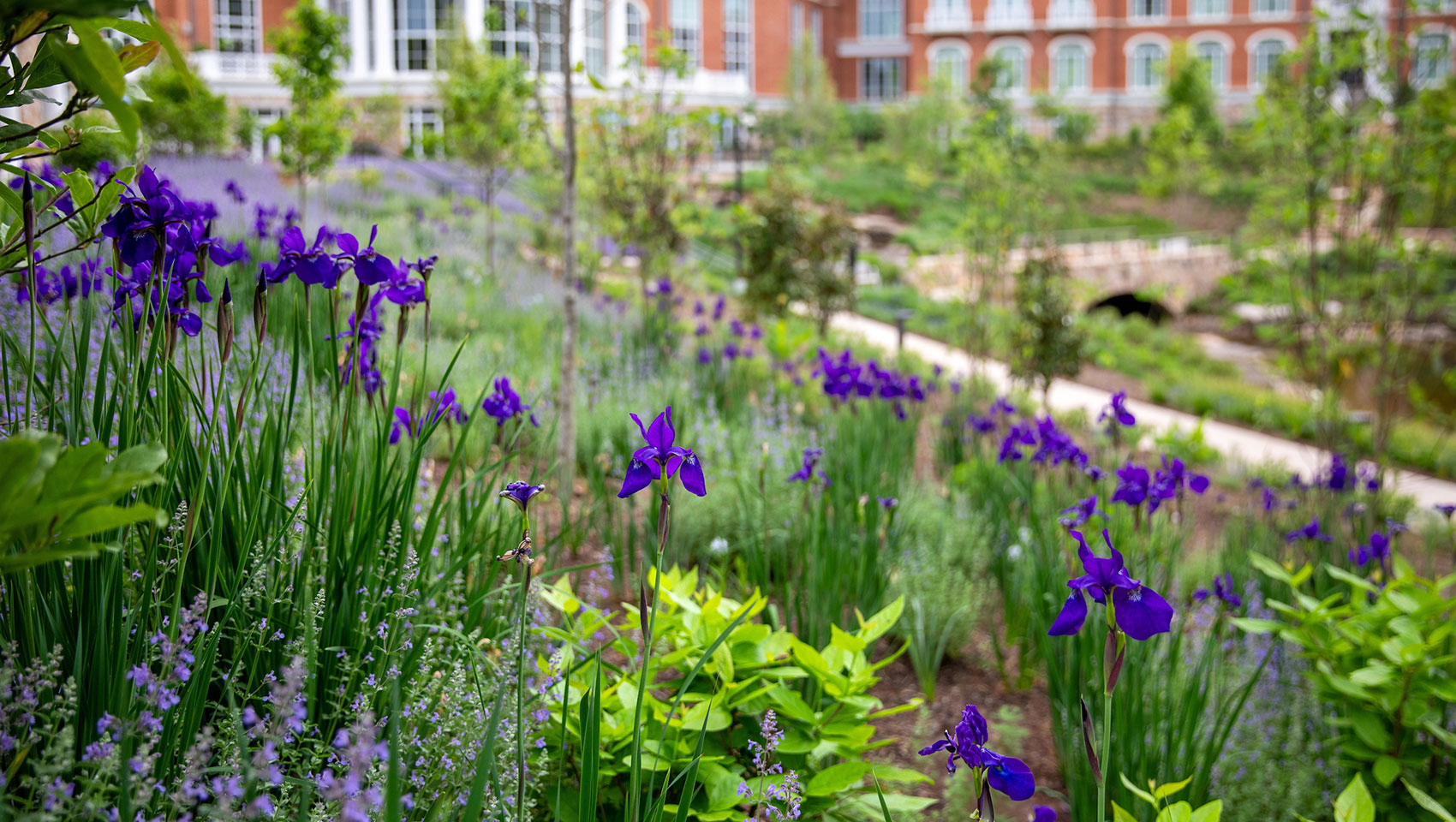 The Forum & Darden Arboretum + Botanical Gardens | Credit @ Melody Robbins