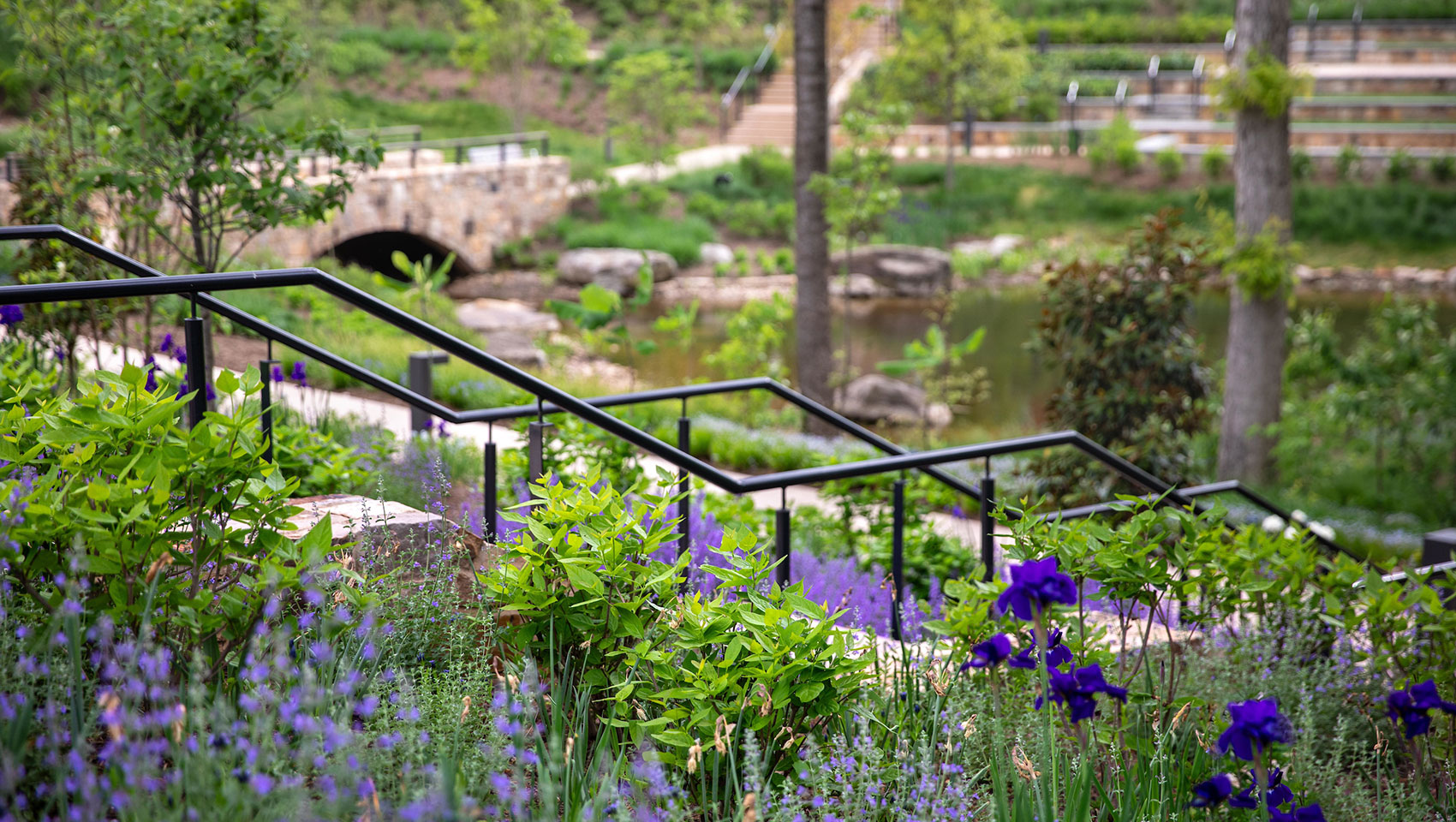 The Forum & Darden Arboretum + Botanical Gardens | Credit @ Melody Robbins