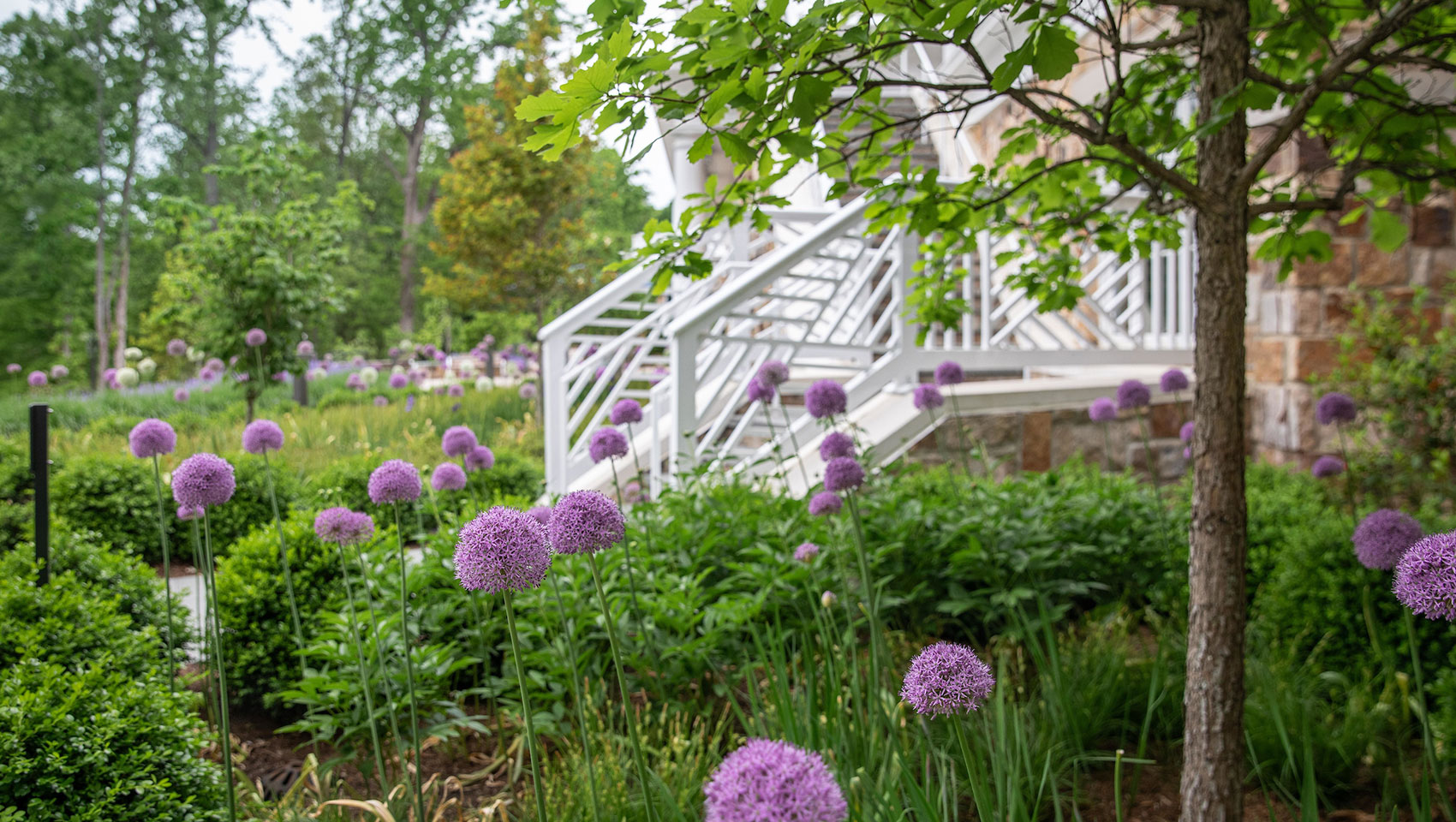 The Forum & Darden Arboretum + Botanical Gardens | Credit @ Melody Robbins