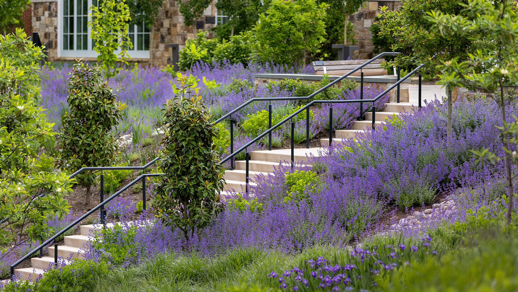 The botanical gardens behind the forum hotel