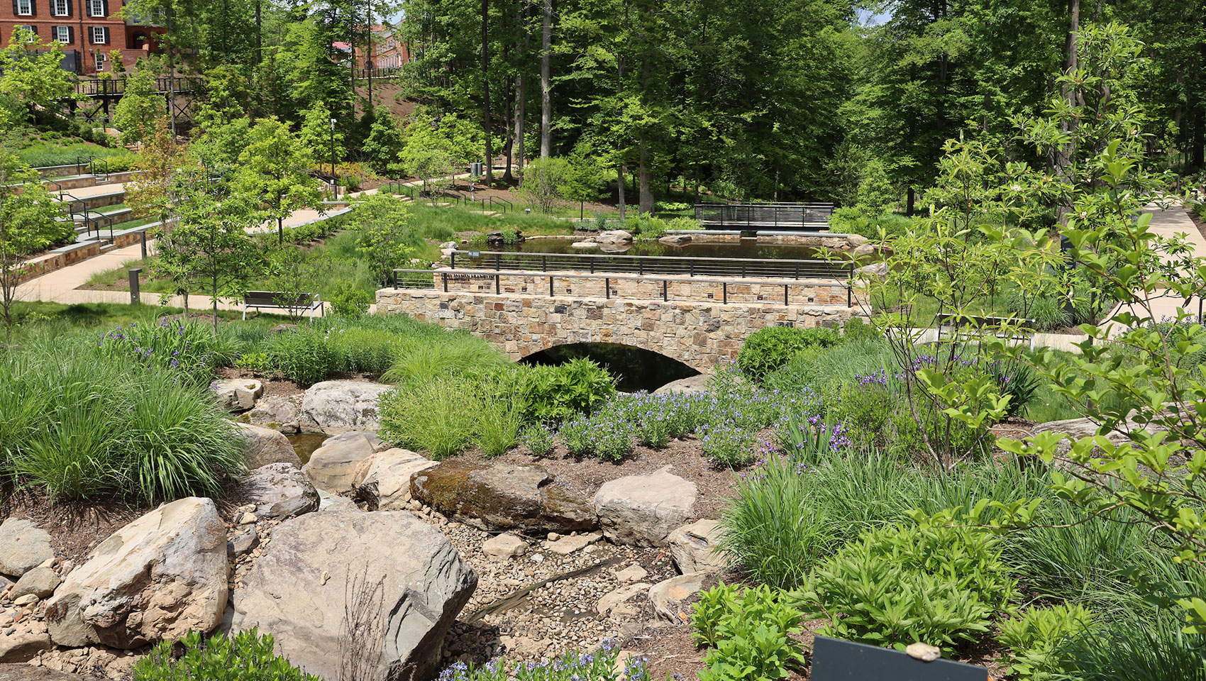 The botanical gardens behind the forum hotel