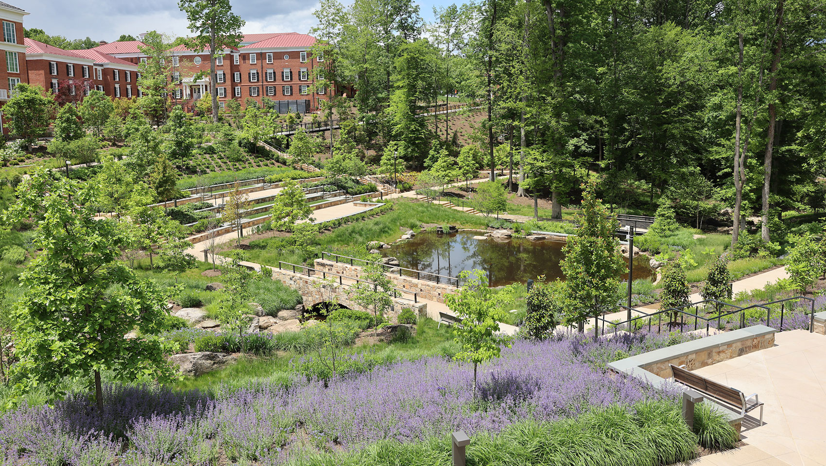 The botanical gardens behind the forum hotel