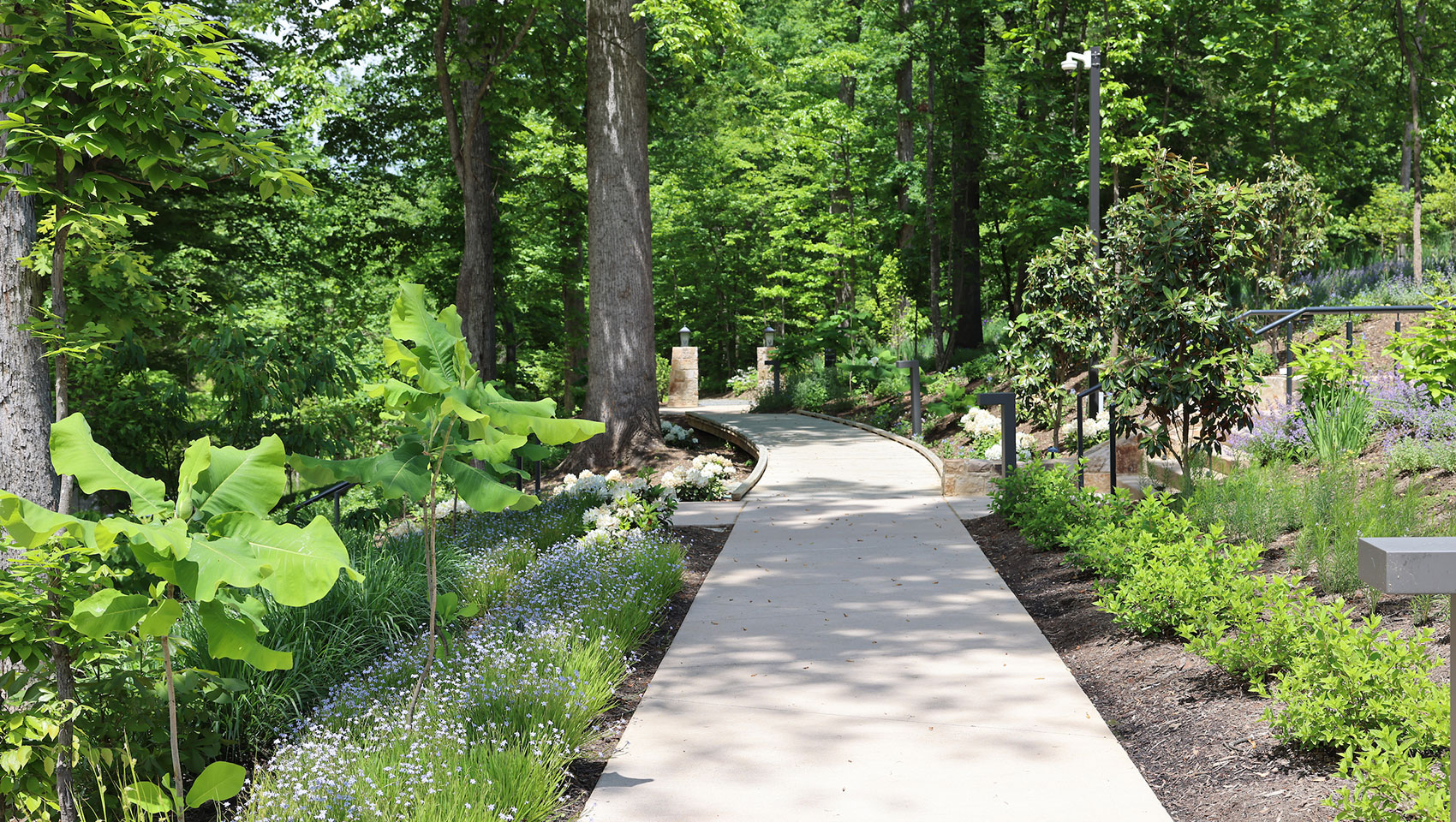 The Forum & Darden Arboretum + Botanical Gardens | Credit @ Melody Robbins