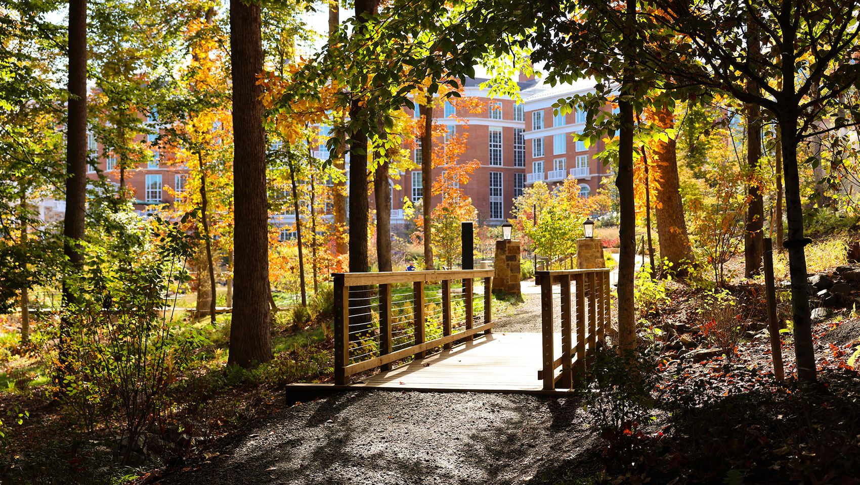 The Forum & Darden Arboretum + Botanical Gardens | Credit @ Melody Robbins